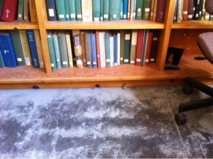 Cedric the Toad resting nest to the bookcase in the Stacks