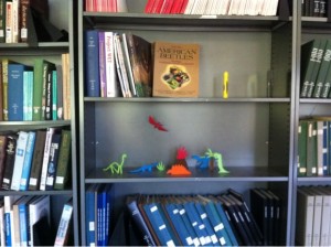Dino Kingdom setup on the middle of a bookcase shelf.